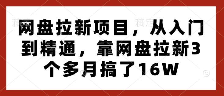 网盘拉新项目，从入门到精通，靠网盘拉新3个多月搞了16W-赛德副业库