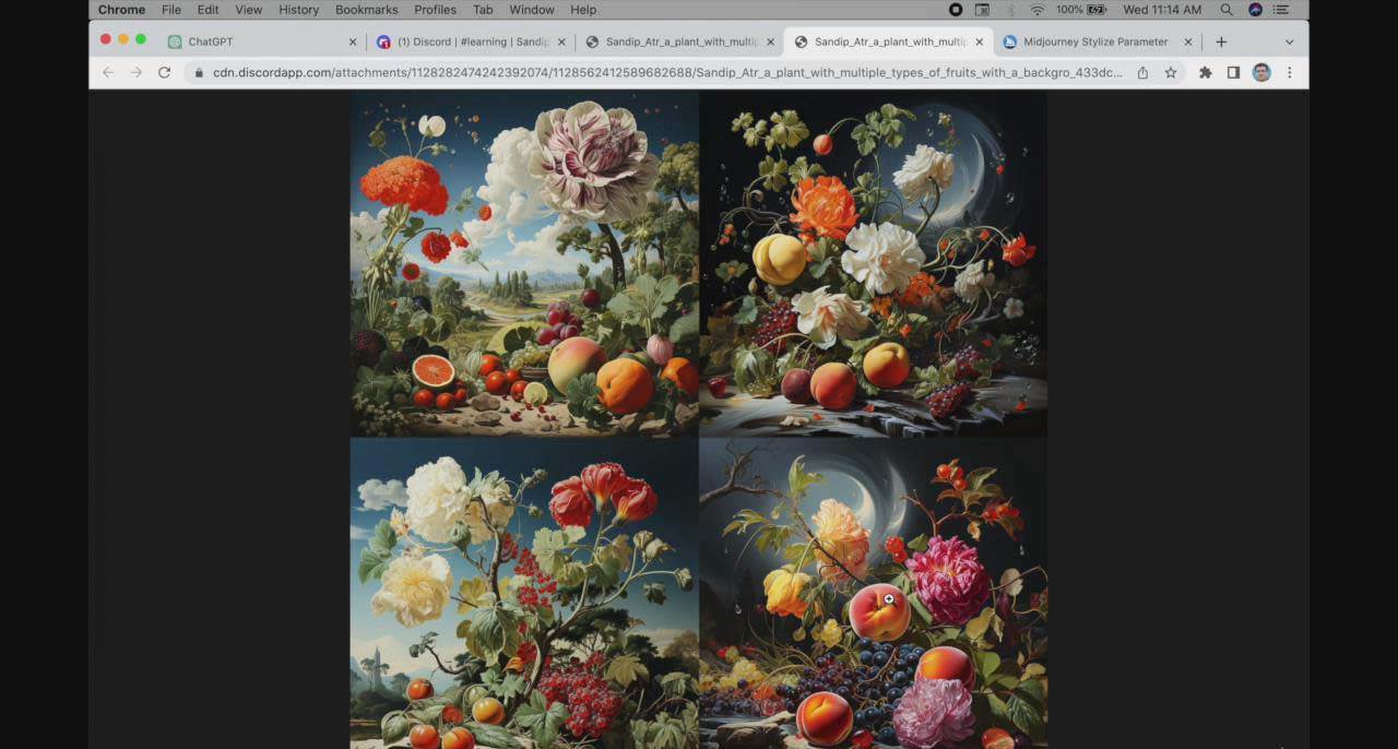 图片[3]-ChatGPT4 和 MidJourney AI 绘画聊天革命性指南教程-33节视频课-中英字幕-赛德副业库