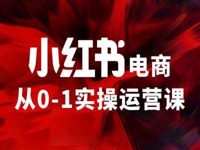 小红书电商从0-1实操运营课，让你从小白到精英-赛德副业库