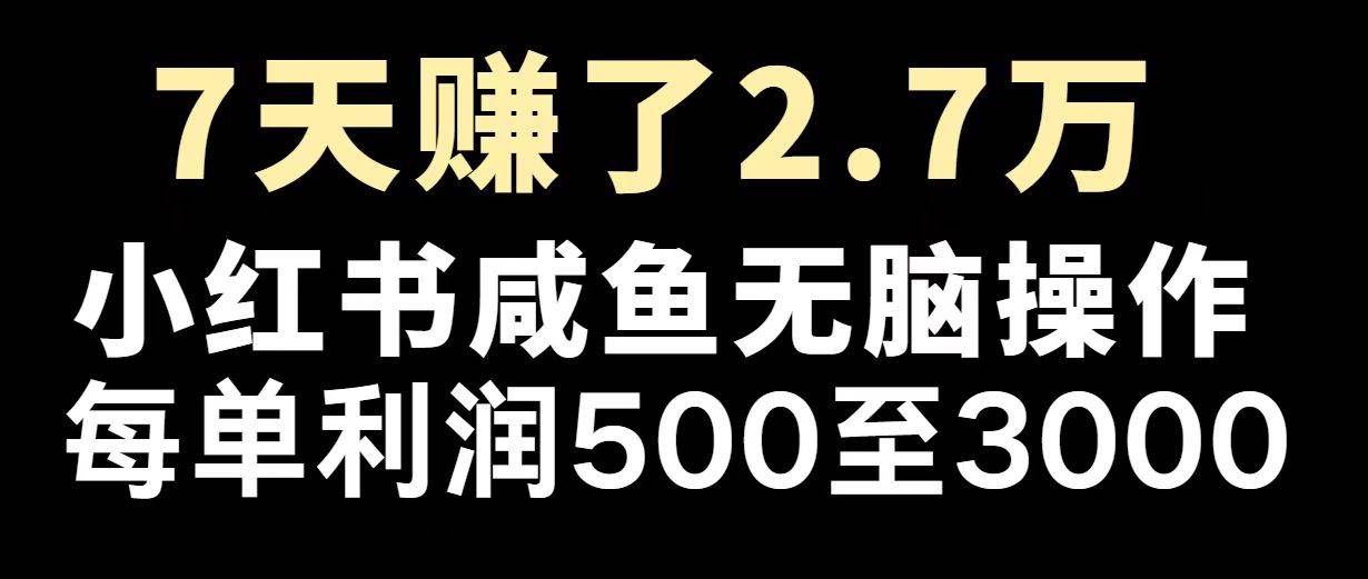 （14183期）最赚钱项目之一，2025爆火，逆风翻盘！-赛德副业库