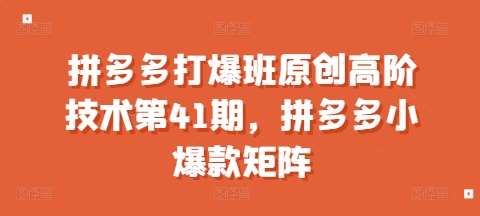 拼多多打爆班原创高阶技术第41期，拼多多小爆款矩阵-赛德副业库