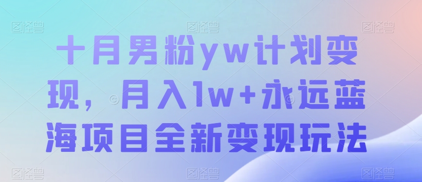 十月男粉yw计划变现,月入1w+永远蓝海项目全新变现玩法【揭秘】-赛德副业库