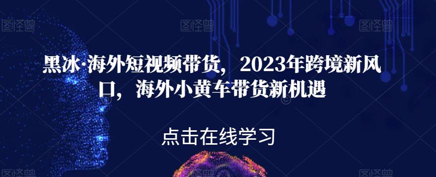 黑冰·海外短视频带货,2023年跨境新风口,海外小黄车带货新机遇-赛德副业库