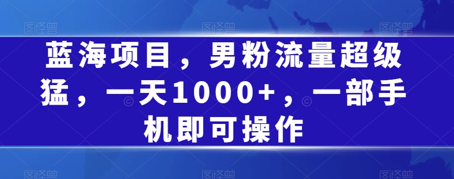 蓝海项目，男粉流量超级猛，一天1000+，一部手机即可操作【揭秘】-赛德副业库