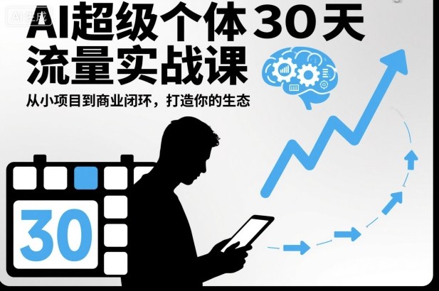 AI超级个体30天流量实战课,从小项目到商业闭环,打造你的生态-赛德副业库