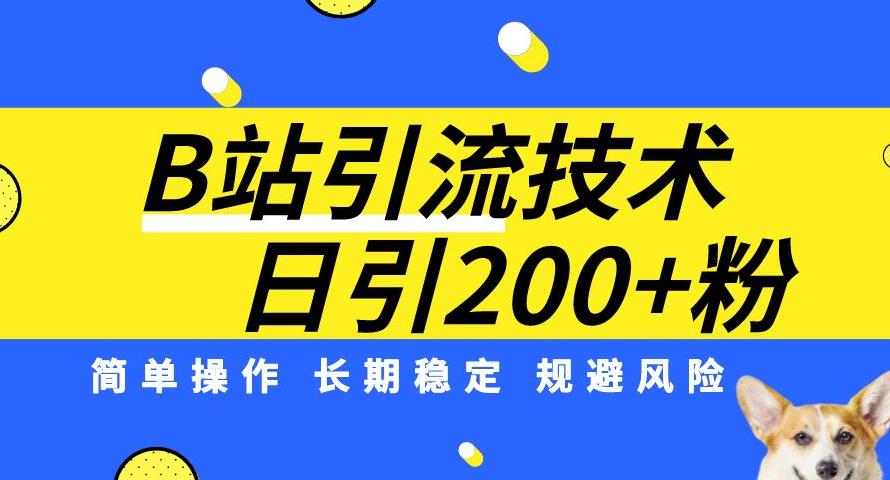 B站引流技术：每天引流200精准粉，简单操作，长期稳定，规避风险-赛德副业库