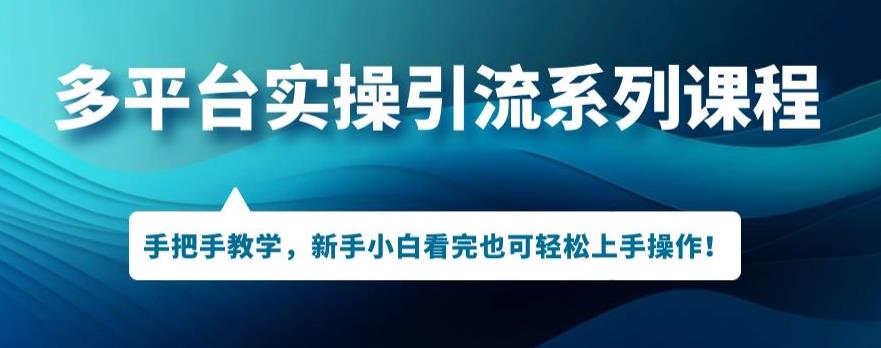 多平台引流实操系列课程，新手小白看完也可轻松上手进行引流操作-赛德副业库