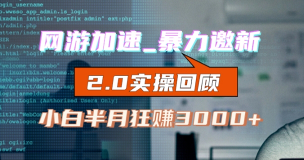 网游加速邀新，狂吃提成，适合小白，首月破千（v2.0版教程）【揭秘】-赛德副业库