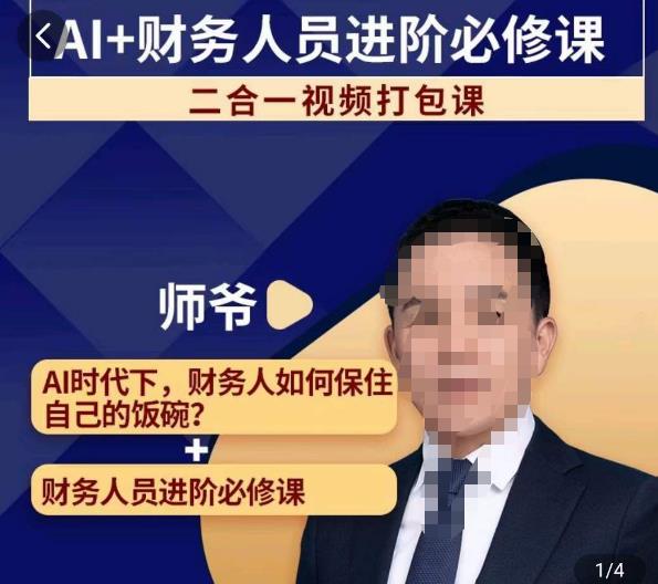 AI+财务人员进阶必修课二合一视频打包课，财务人员进阶必修课-赛德副业库