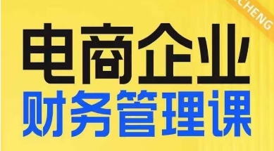 电商企业财务管理线上课，为电商企业规划财税-赛德副业库