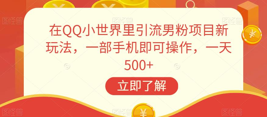在QQ小世界里引流男粉项目新玩法，一部手机即可操作，一天500+【揭秘】-赛德副业库