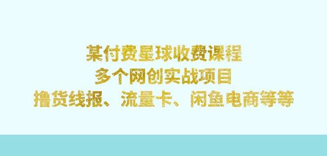 某付费星球课程：多个网创实战项目，撸货线报、流量卡、闲鱼电商等（文档非视频）-赛德副业库