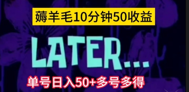 暴力涨粉项目：每天一小时，七天上万粉【揭秘】-赛德副业库