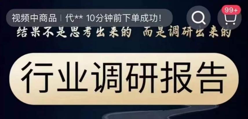 行业调研报告,结果不是思考出来的而是调研出来的-赛德副业库