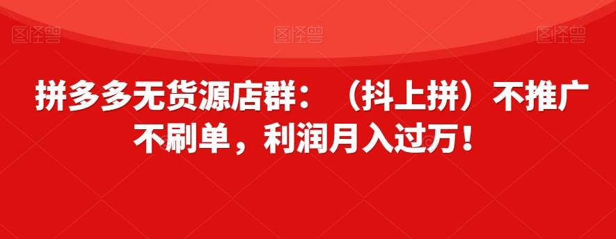 拼多多无货源店群：（抖上拼）不推广不刷单，利润月入过万！【揭秘】-赛德副业库