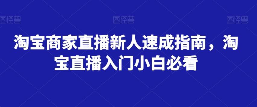 淘宝商家直播新人速成指南，淘宝直播入门小白必看-赛德副业库