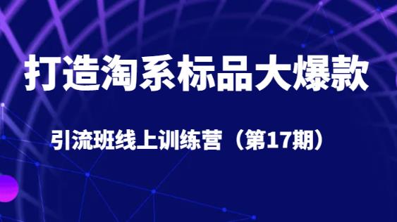 打造淘系标品大爆款引流班线上训练营5天直播授课-赛德副业库