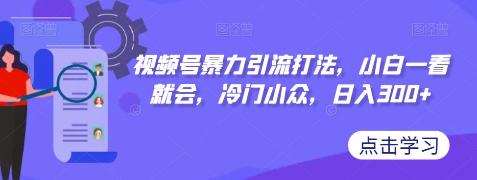 视频号暴力引流打法，小白一看就会，冷门小众，日入300+【揭秘】-赛德副业库