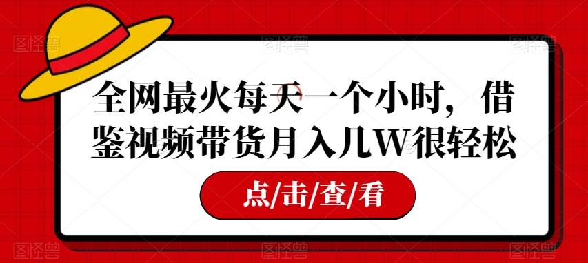 全网最火每天一个小时，借鉴视频带货月入几W很轻松【揭秘】-赛德副业库