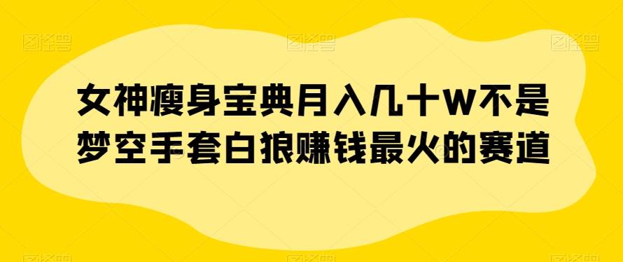 女神瘦身宝典月入几十W不是梦空手套白狼赚钱最火的赛道【揭秘】-赛德副业库