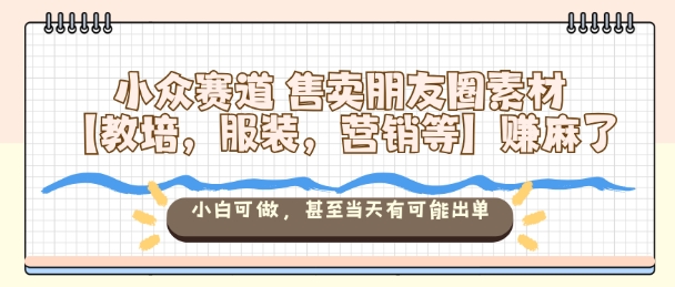 3D美女号，玩过没？轻松日入500+，纯虚拟资源玩法，完全0成本，超级蓝海（附带资料）-赛德副业库