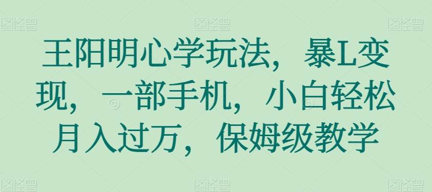 王阳明心学玩法，暴L变现，一部手机，小白轻松月入过万，保姆级教学【揭秘】-赛德副业库
