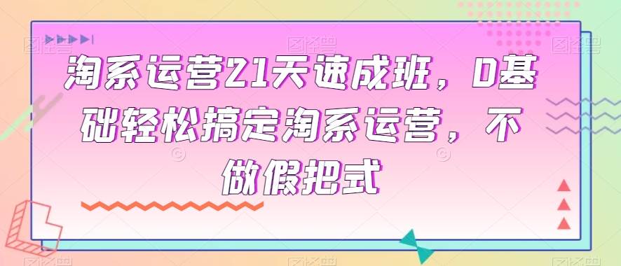 淘系运营21天速成班，0基础轻松搞定淘系运营，不做假把式-赛德副业库