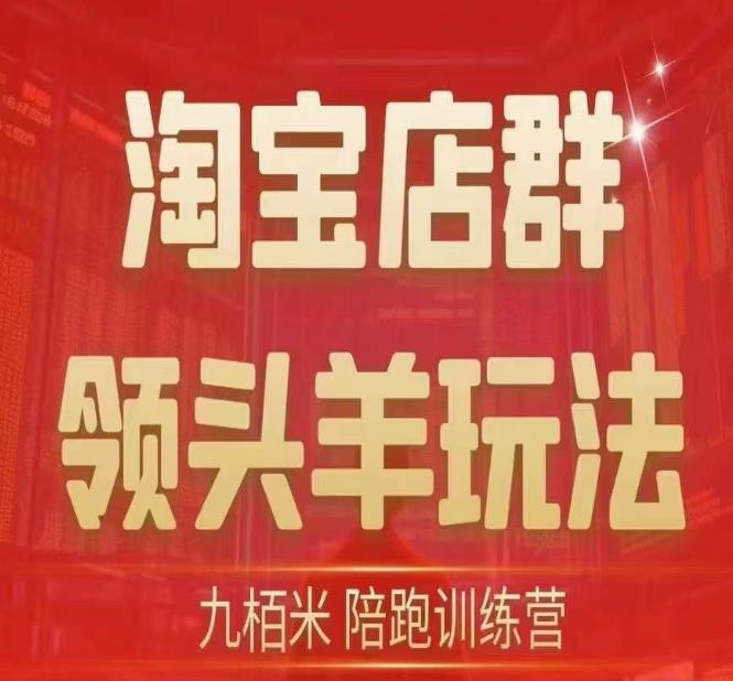 九栢米-淘宝店群领头羊玩法，教你整个淘宝店群领头羊玩法以及精细化/终极蓝海/尾销等内容-赛德副业库