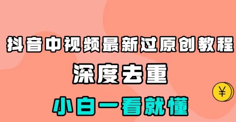 抖音中视频最新过原创教程，深度去重，小白一看就懂【揭秘】-赛德副业库