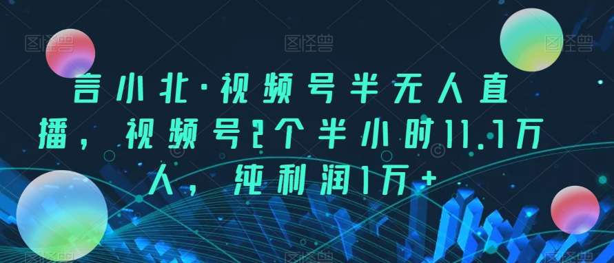 AI美女项目，利用美女号的图片视频获取收益【揭秘】-赛德副业库