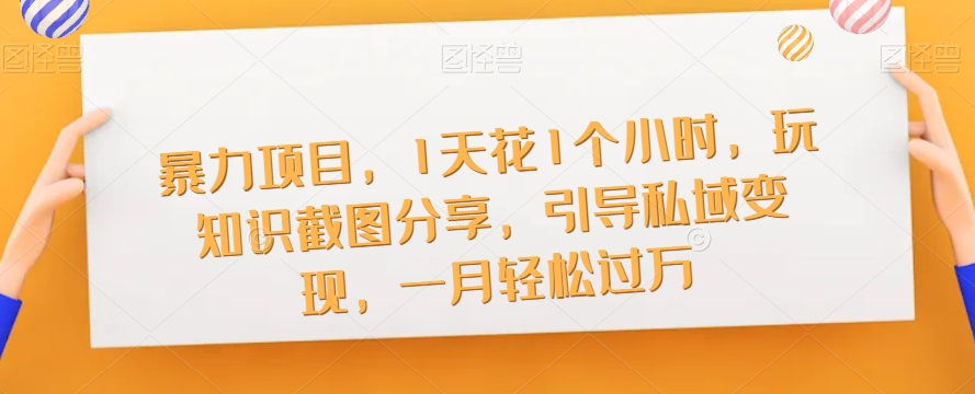 知识IP流量井喷营第2期，打造一套倍速吸粉、引流、转化的流量系统-赛德副业库