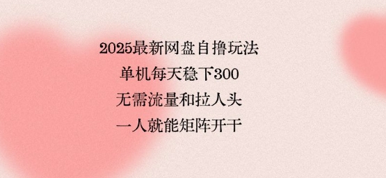 2025最新网盘自撸玩法，单机每天稳下3张，无需流量和拉人头，一个人就可轻松矩阵，全网独一份【揭秘】-赛德副业库