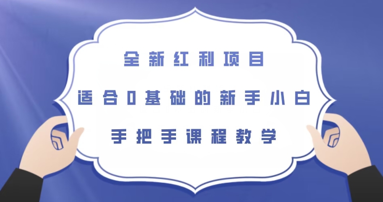 全新红利项目，适合0基础的新手小白，手把手课程教学【揭秘】-赛德副业库