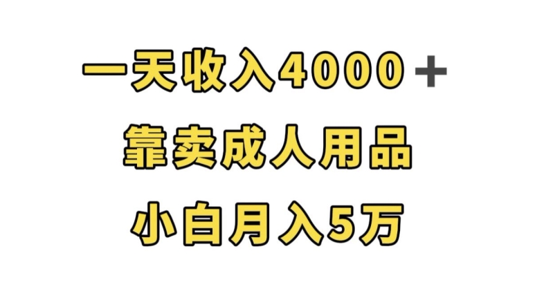 一天收入4000+，靠卖成人用品，小白轻松月入5万【揭秘】-赛德副业库