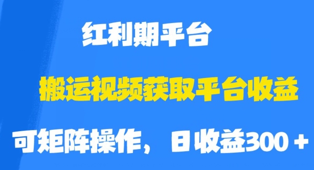 搬运视频获取平台收益，平台红利期，附保姆级教程【揭秘】-赛德副业库