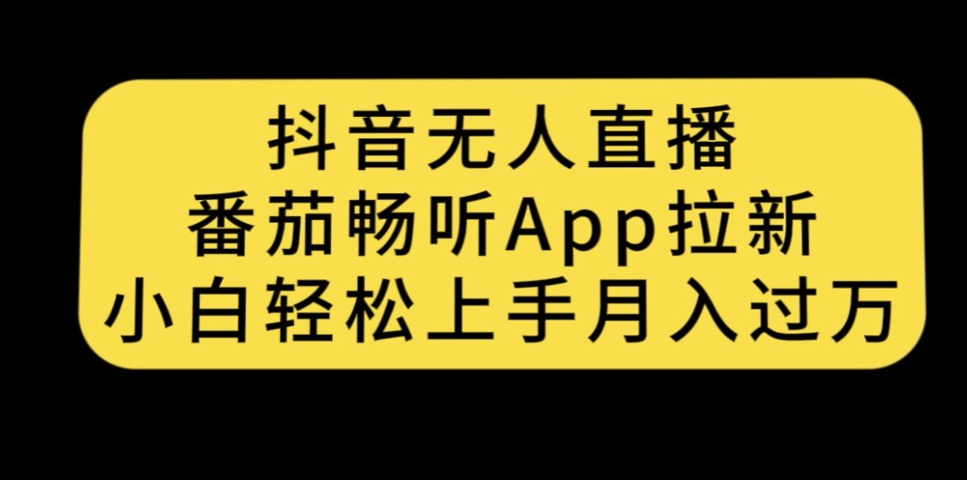 抖音无人直播，番茄畅听APP拉新，小白轻松上手月入过万-赛德副业库
