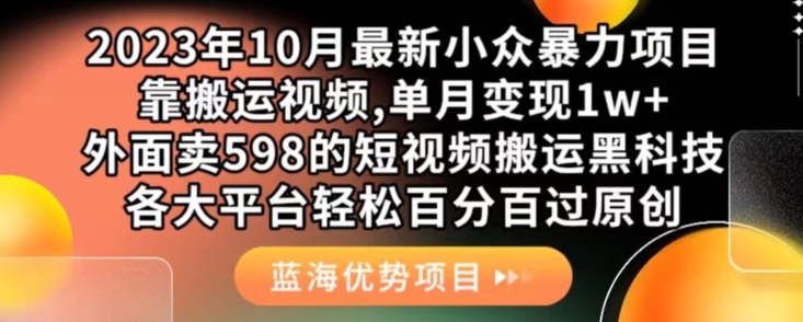 2023年10月最新小众暴力项目，靠搬运视频,单月变现1w+，外面卖598的短视频搬运黑科技，各大平台轻松百分百过原创-赛德副业库