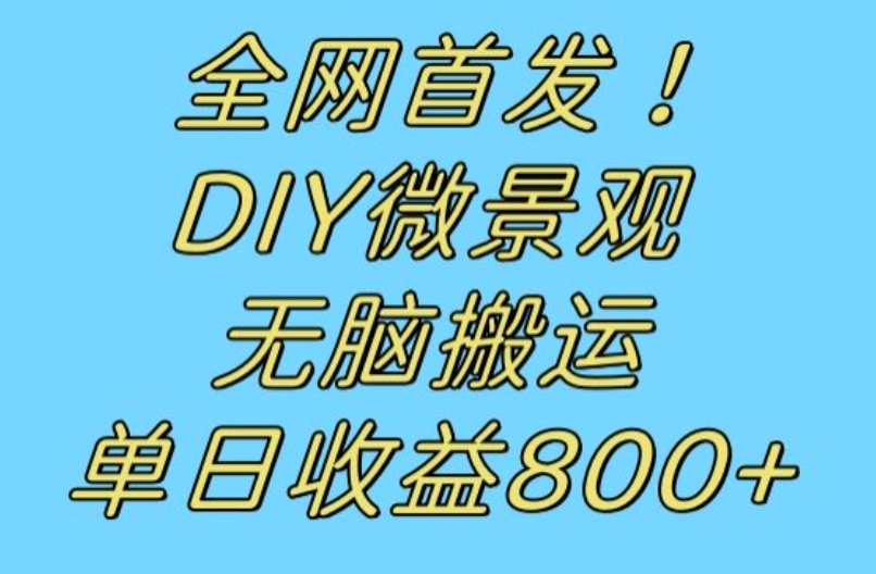 全网首发冷门赛道!DIY微景观,无脑搬运视频,日收益800+【揭秘】-赛德副业库