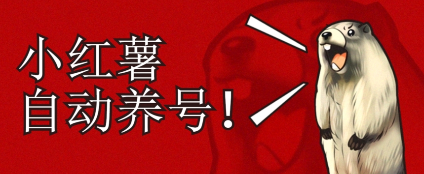 小红书养号秘籍，如何自动涨粉清晰系统标签打造高权重账号【揭秘】-赛德副业库