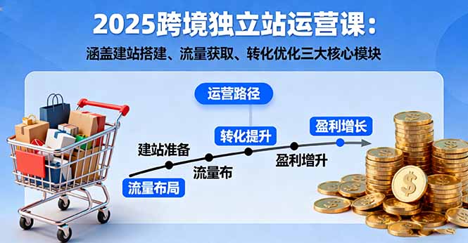 （16211期）2025跨境独立站运营课：涵盖建站搭建、流量获取、转化优化三大核心模块-赛德副业库