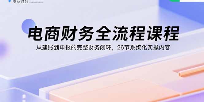 (15893期)电商财务全流程课程:从建账到申报的完整财务闭环,26节系统化实操内容-赛德副业库