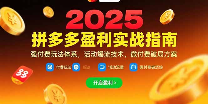 (15357期)拼多多盈利实战指南,强付费玩法,活动爆流技术,微付费破局方案(更新7月)-赛德副业库