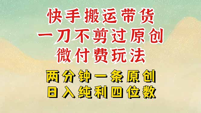 （15577期）快手黑科技搬运带货，一刀不剪过原创，微付费投流玩法，轻松日入四位数…-赛德副业库