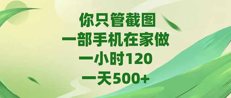 （15039期）你只管截图，一部手机在家做，一小时120，-天500+-赛德副业库