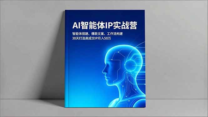 （16689期）AI智能体IP实战营，智能体搭建、爆款文案、工作流构建，30天打造高成交IP月入50万-赛德副业库