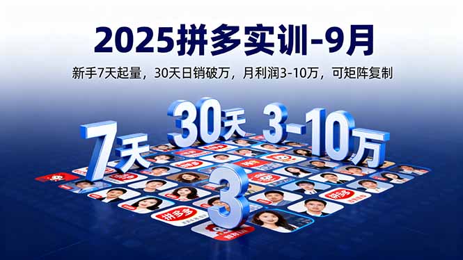 （16008期）2025拼多多实训-9月：新手7天起量,30天日销破万,月利润3-10万,可矩阵复制-赛德副业库