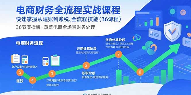 (15883期)电商财务全流程实战课程:快速掌握从建账到报税的全流程技能(36节课)-赛德副业库