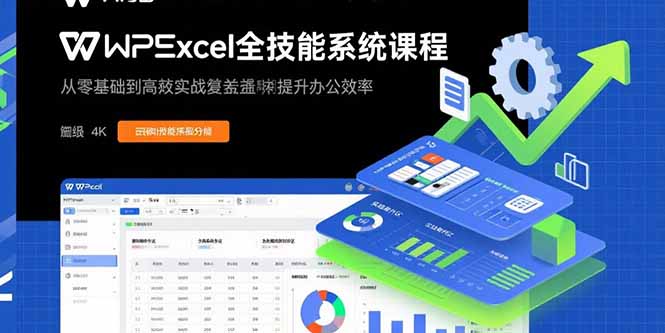 （15873期）WPS Excel全技能系统课程：从零基础到高阶实战全覆盖，全面提升办公效率-赛德副业库