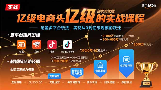 (15803期)亿级电商头部卖家的实战课程:涵盖多平台玩法,实现从0到亿级规模的跃迁-赛德副业库