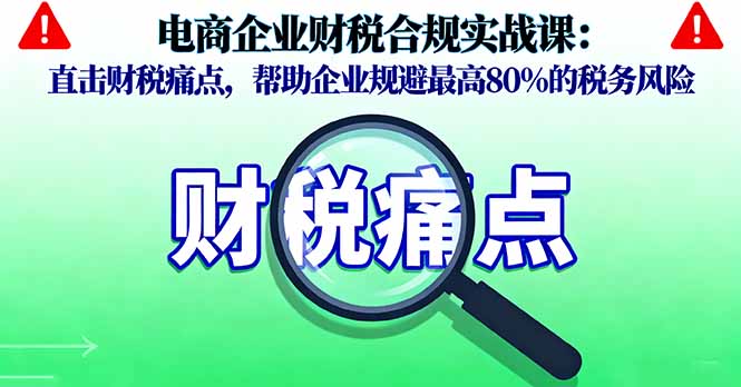 (16232期)电商企业财税合规实战课,直击财税痛点,帮助企业规避最高80%的税务风险-赛德副业库